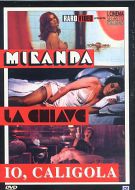BOX TINTO BRASS