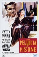 UNA PELLICCIA DI VISONE