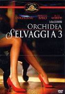 ORCHIDEA SELVAGGIA 3