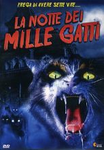 LA NOTTE DEI MILLE GATTI