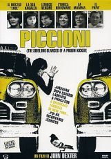 PICCIONI