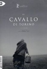 IL CAVALLO DI TORINO