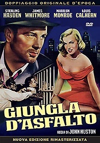 GIUNGLA D'ASFALTO