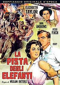 LA PISTA DEGLI ELEFANTI