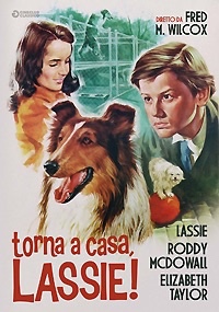 LASSIE - Torna a casa Lassie