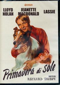 LASSIE - Primavera di sole