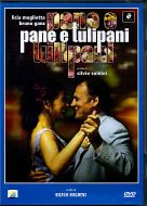 PANE E TULIPANI