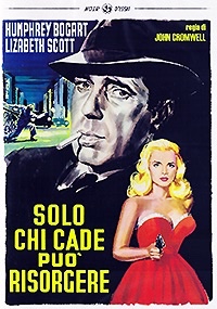 SOLO CHI CADE PUO' RISORGERE