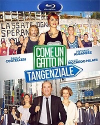 Come un gatto in tangenziale