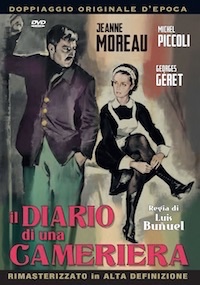 IL DIARIO DI UNA CAMERIERA