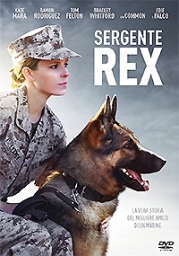 SERGENTE REX