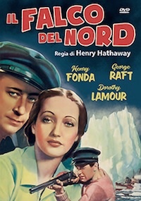 IL FALCO DEL NORD