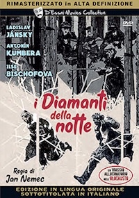 I DIAMANTI DELLA NOTTE