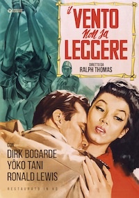IL VENTO NON SA LEGGERE