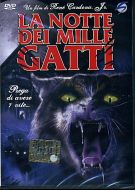 LA NOTTE DEI MILLE GATTI