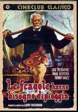 LE FRAGOLE HANNO BISOGNO DI PIOGGIA