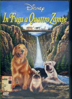 IN FUGA A QUATTRO ZAMPE