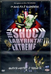 THE SHOCK LABYRINTH EXTREME
